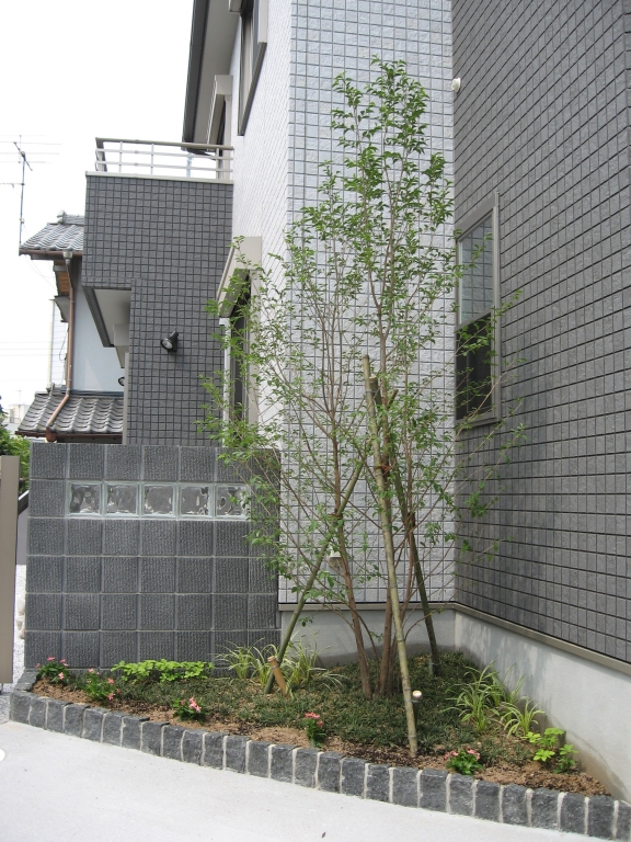 植栽photo02